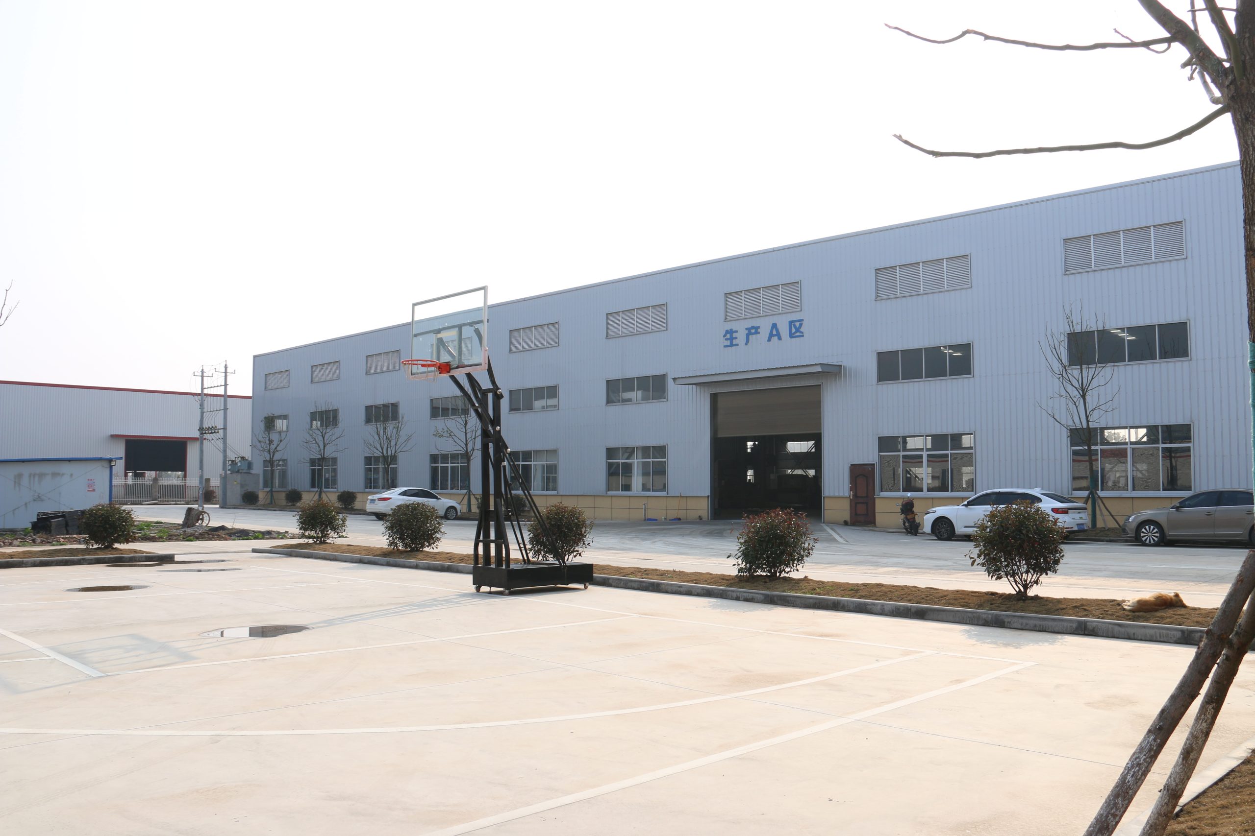 Inside of the Company